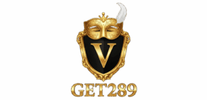 vget289 logo